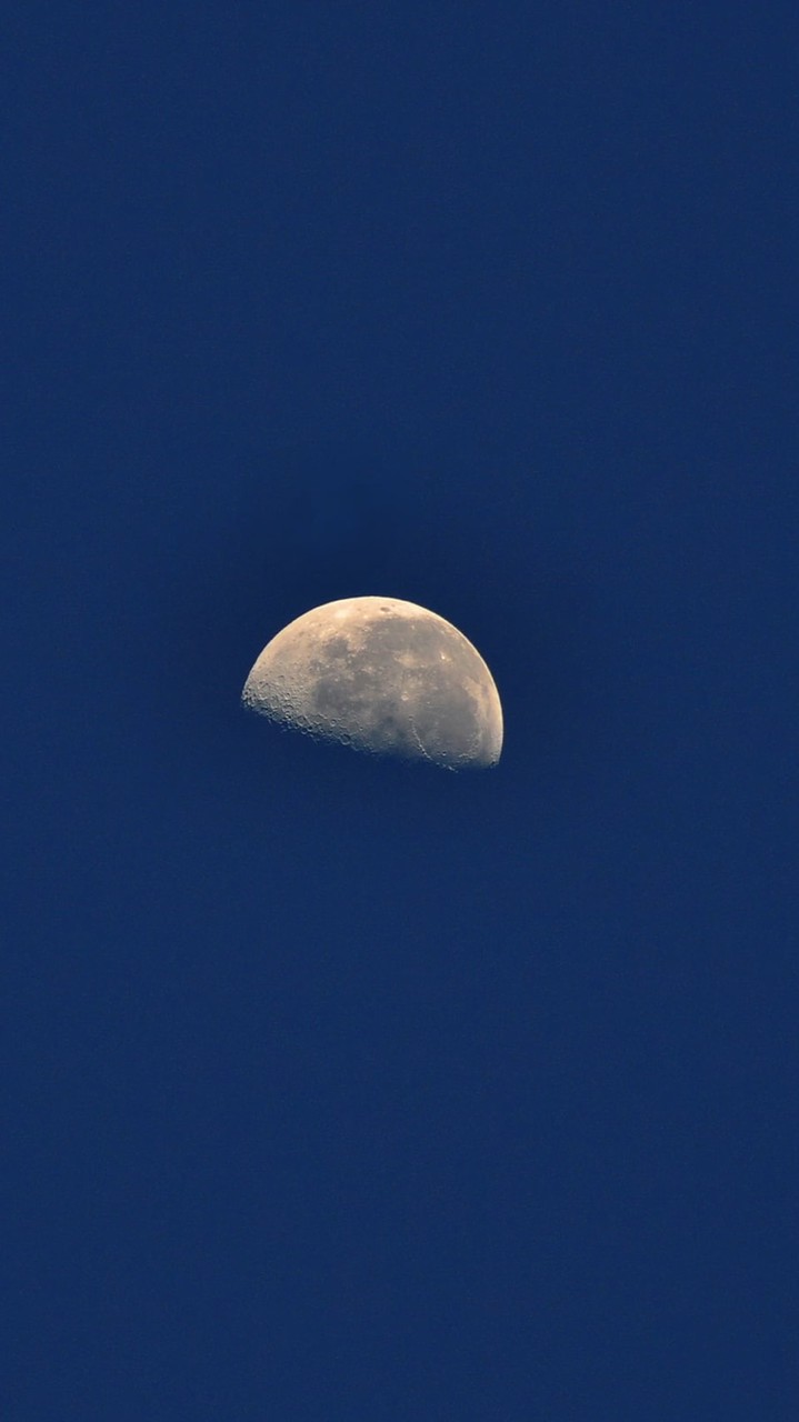 💫失眠月老