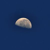 💫失眠月老