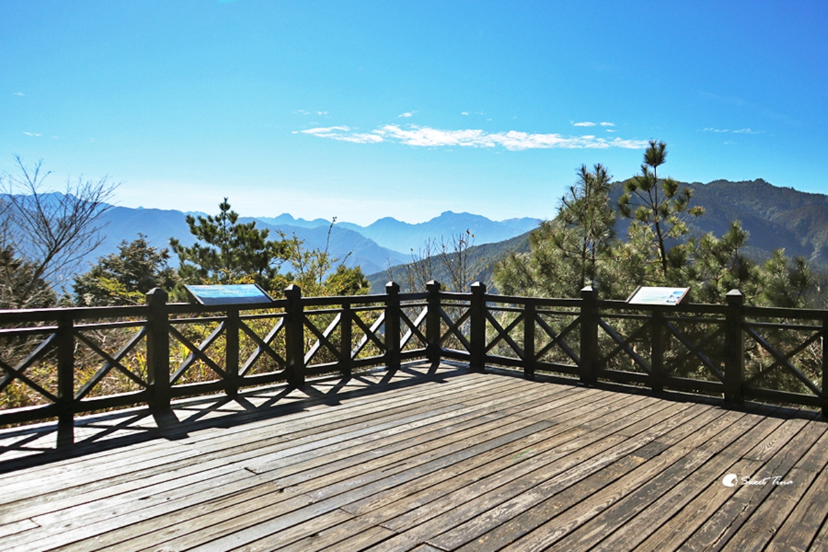 負離子、芬多精吸到飽！最強國家森林遊樂區TOP10：千年神木、免門票逛整天