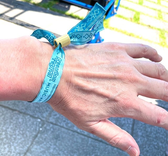 スーパービーバー Charaらが出演 グリーンルーム フェスティバル 22の最終日レポート Maduro Online