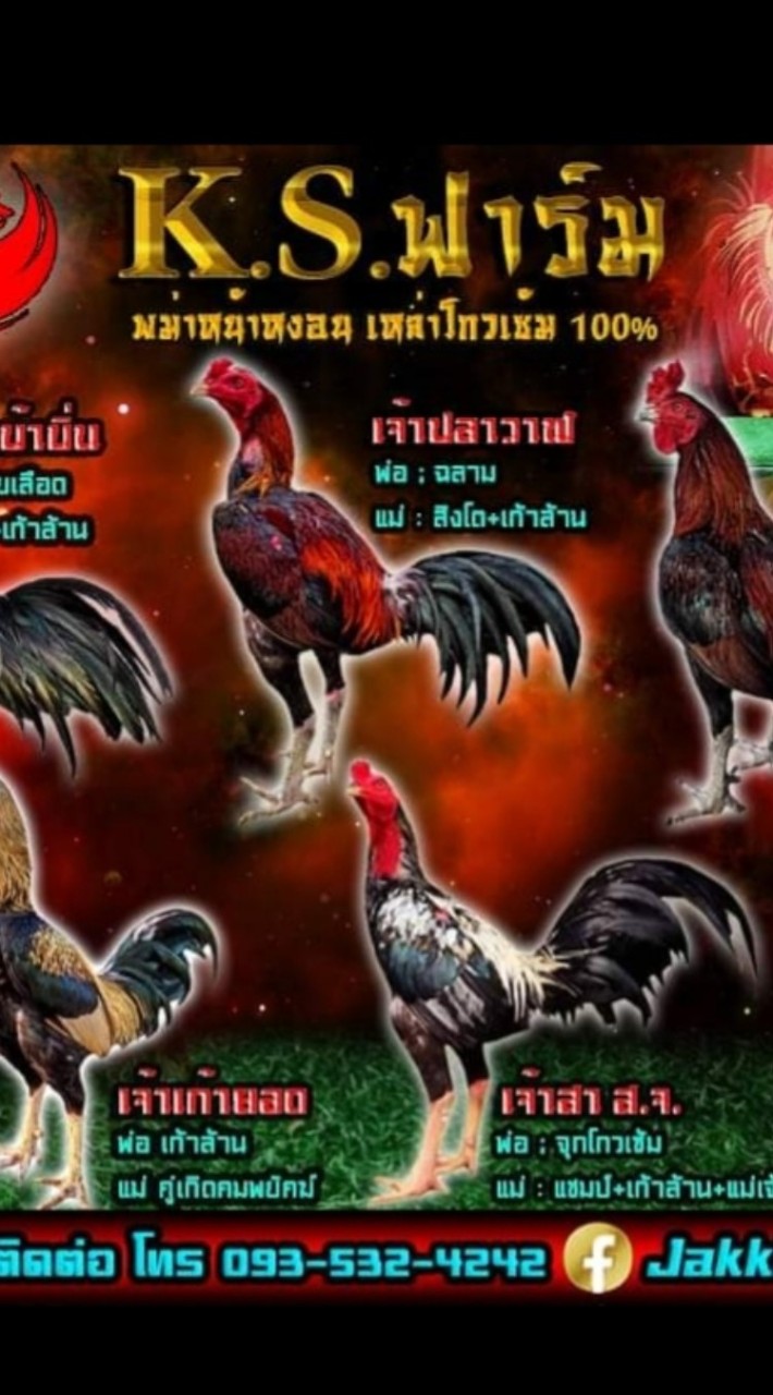 KS ฟาร์ม 101