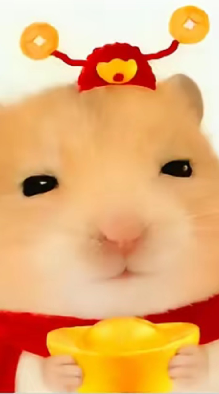 504