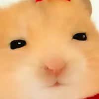 504