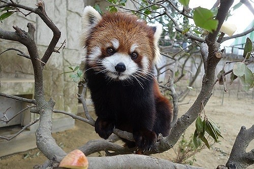 仙台 0 2歳の子連れにおすすめ 人気観光スポット8選