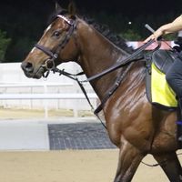 競馬部屋7月