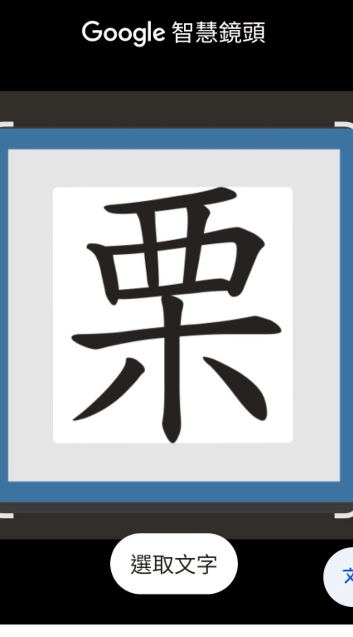 ✅️社群❌️小栗子❌️集合