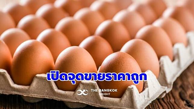 พาณิชย์ สั่ง 14 จังหวัด เปิดจุด ‘ขายไข่ไก่ราคาถูก’ พร้อมจัดโมบาย 100 จุด ในกรุงเทพ ช่วยค่าครองชีพ