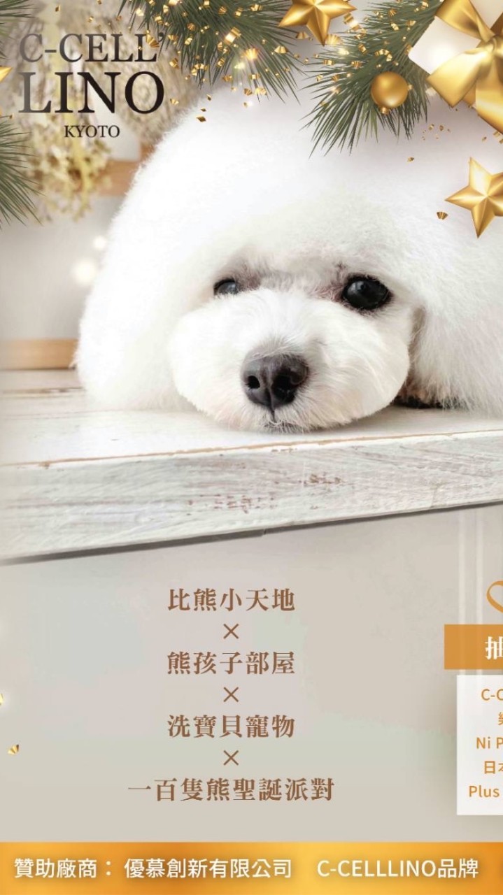 比熊聖誕派對 準園休閒農場