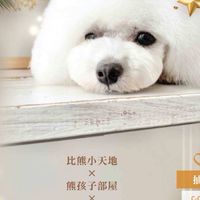 比熊聖誕派對 準園休閒農場