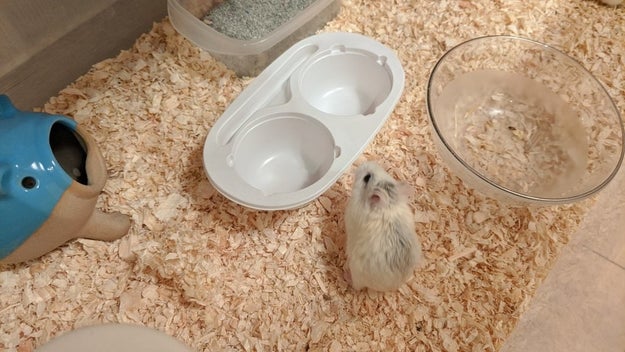 病院や医療従事者によって違う 家族 の定義 新型コロナで広がるlgbt当事者の不安