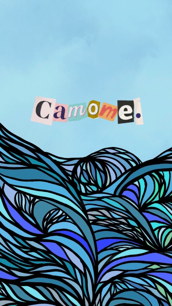 camome.