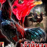 ซุ้ม ศรีมงคล