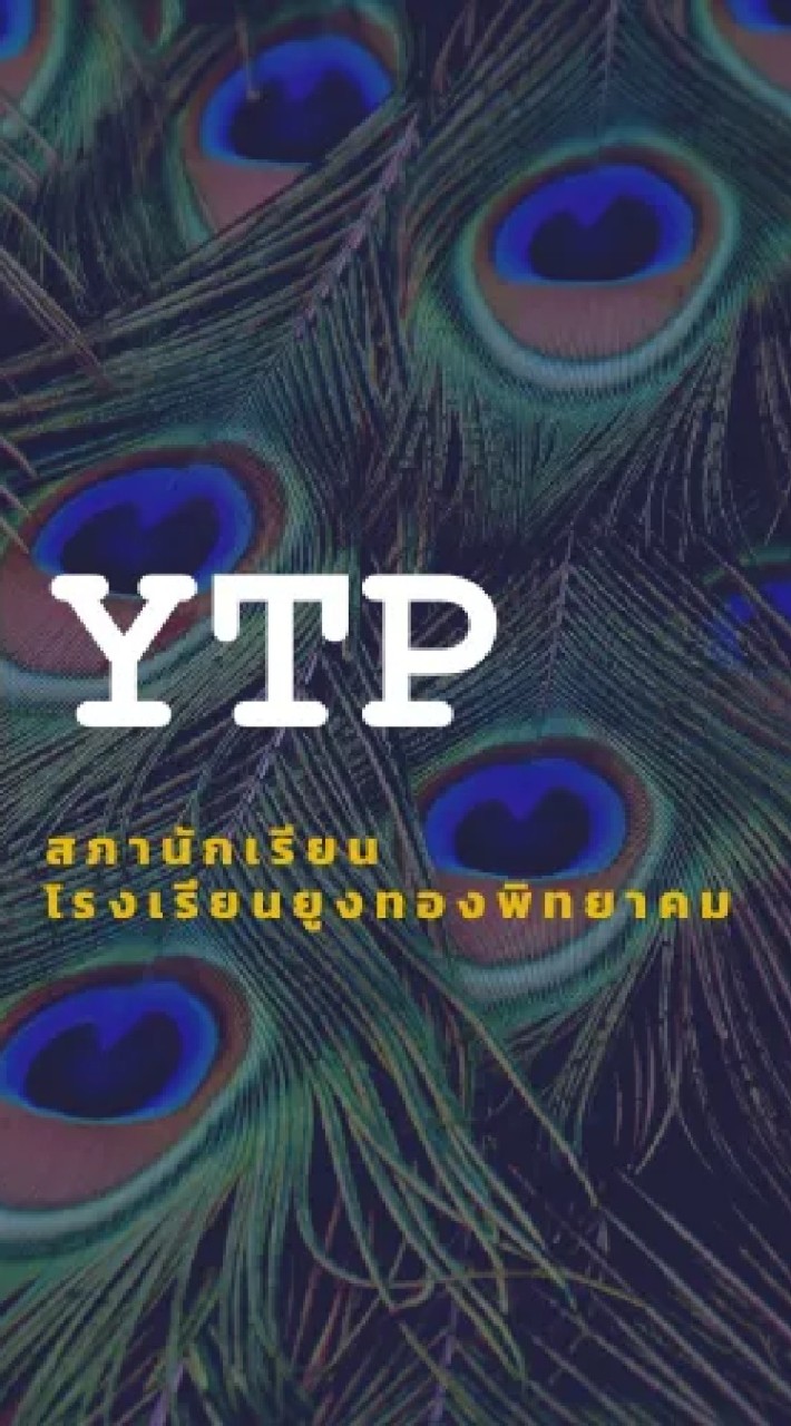 YTP SCHOOL💚💛