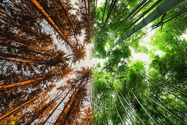 Menakjubkan! Beda Tempat, Gabungan 2 Foto Ini bak Lanskap Satu Destinasi yang Sempurna