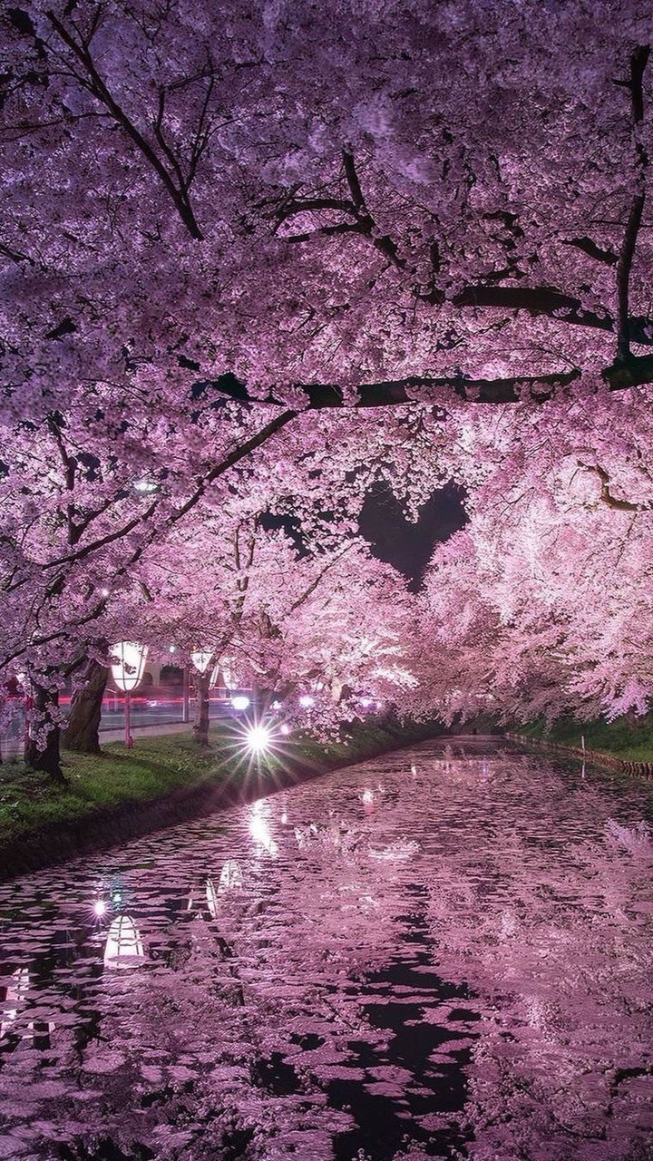 RйC🌺スクリム