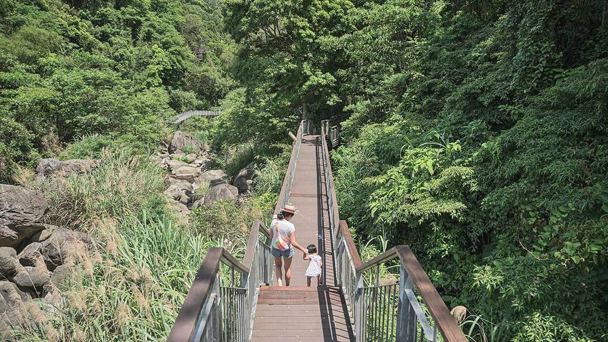 避暑祕境快收藏！苗栗６條免門票「私房步道」：羽量級小百岳、美國大峽谷