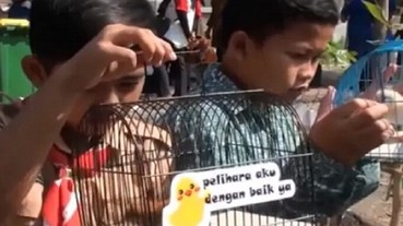 玩手機不如去養雞，印尼給學生發了2000隻小雞覺得能幫助不去沉迷網路