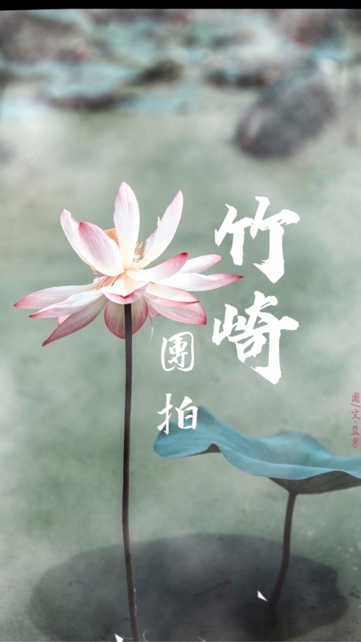 竹崎周五早上道家團拍社群