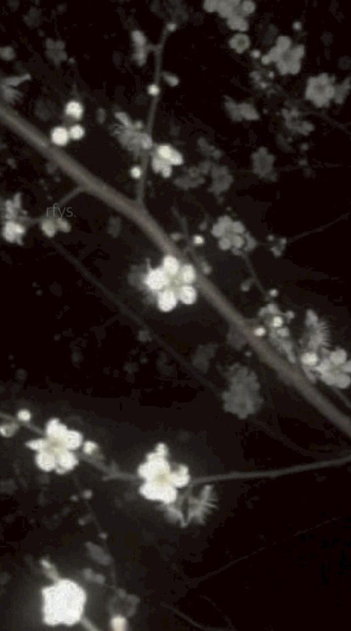 𝚁𝚘𝚖𝚊𝚗𝚝𝚑𝚊𝚞𝚜 𝙰𝚌𝚊𝚍𝚎𝚖𝚢                 ((บอท / เมจ))