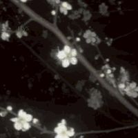 𝚁𝚘𝚖𝚊𝚗𝚝𝚑𝚊𝚞𝚜 𝙰𝚌𝚊𝚍𝚎𝚖𝚢                 ((บอท / เมจ))