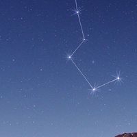 【0期】ペット氣功ヒーリング