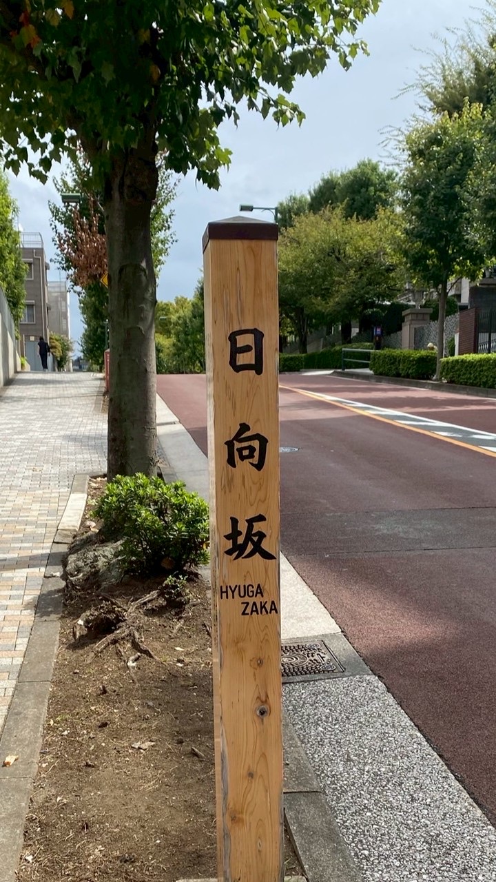 坂道冠番組を中心とした座談会