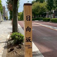 坂道冠番組を中心とした座談会