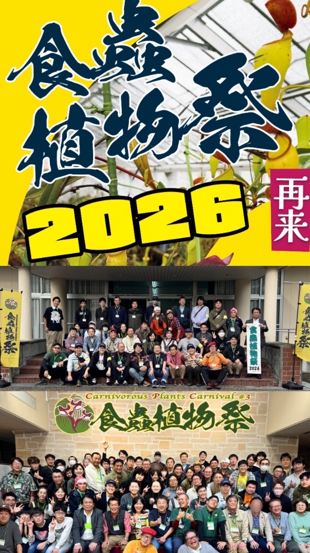 食虫植物祭2026