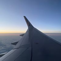 拾貳月 x 三貓｜代購✈️