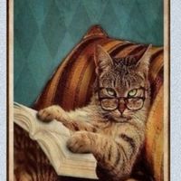 ﾊﾞｯｸﾅﾝﾊﾞｰ 私の『ﾊﾟｰｷﾝｿﾝ病体験記』第4巻 第5巻