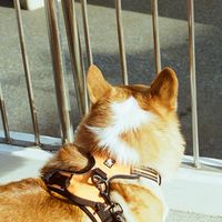 正修底片棧