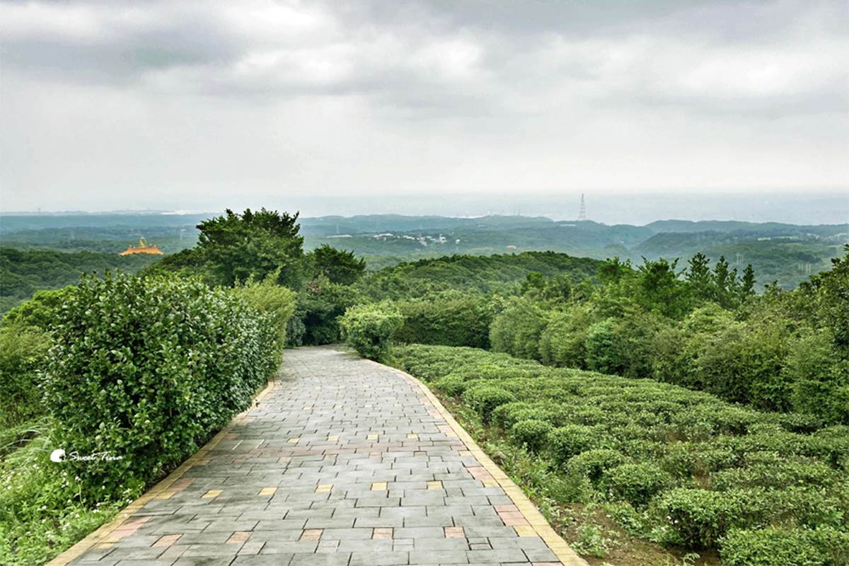 最快５分鐘輕鬆攻頂！新北９條懶人步道：台版「奧入瀨溪流」、絕美陰陽海