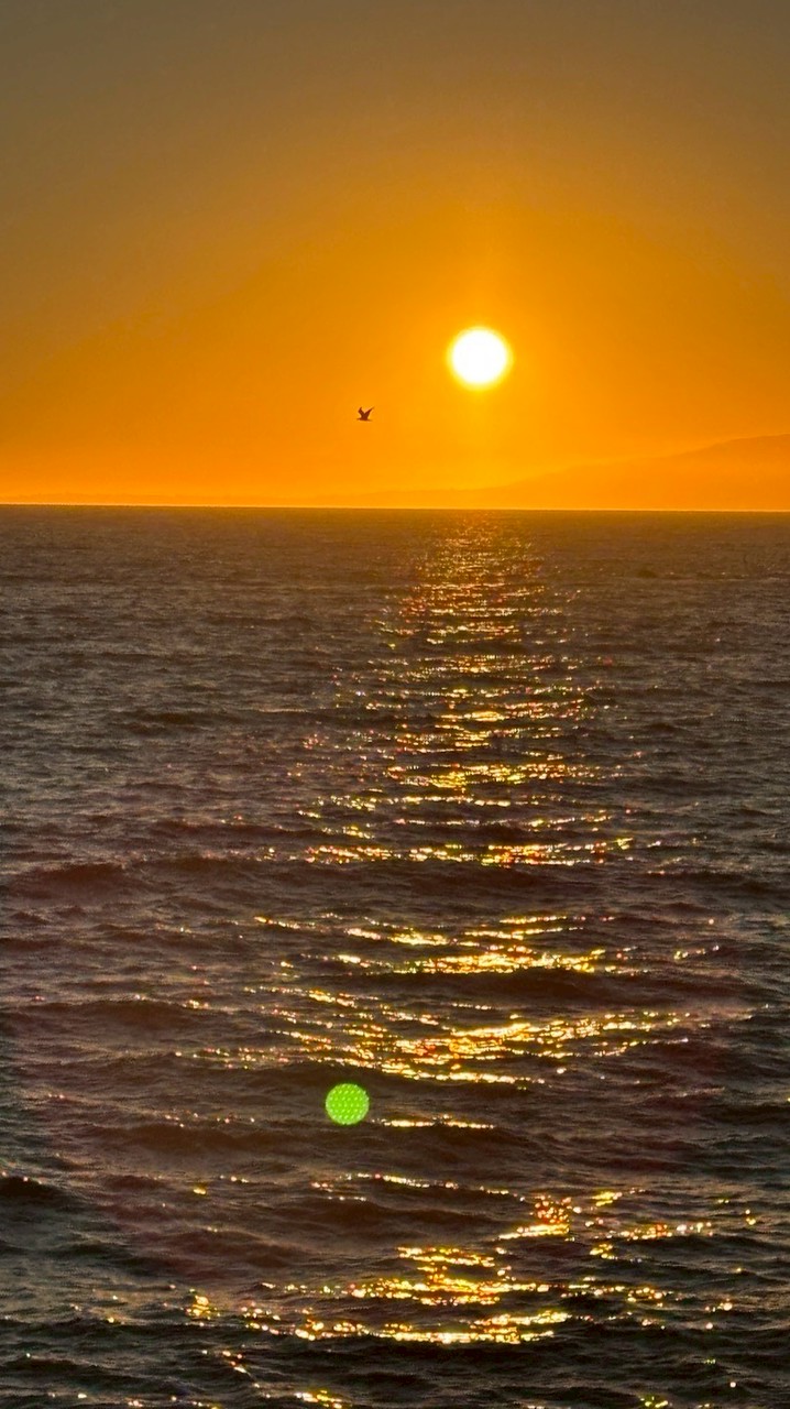 拾光海外代購所🗺️