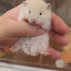波波之家