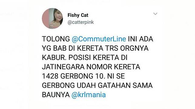 6 Kelakuan Nyeleneh Penumpang KRL, Cuma Indonesia yang Punya