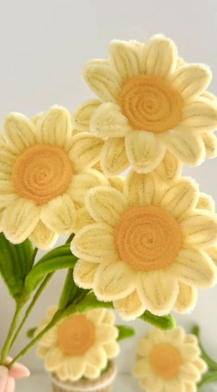 นัดเจอชุมพร