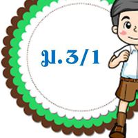 ม.3/1ปีการศึกษา 2567