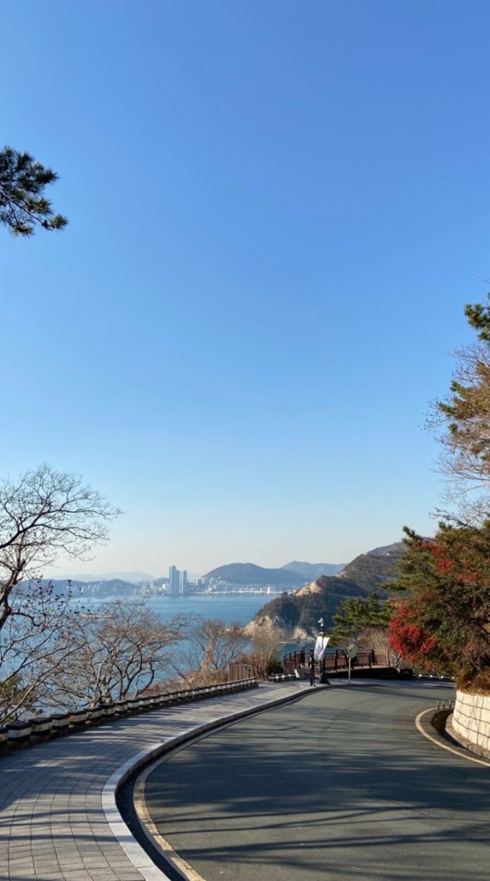 2024秋冬🍁❄️釜慶語學堂