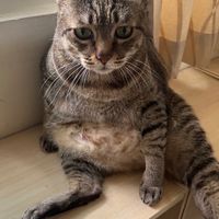 114學年畢業送舊籌辦