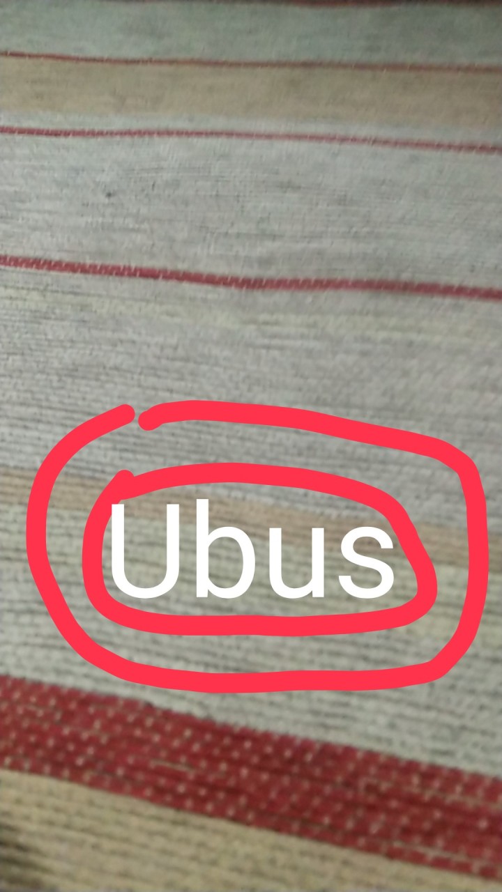 Ubus en