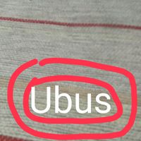 Ubus en