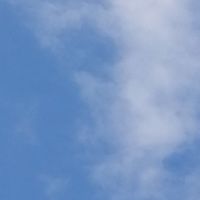 OK牧場（おしおき所）
