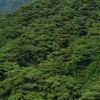 六甲山登山道清掃ボランティア募集⛰️✨
