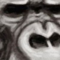 ドブの会