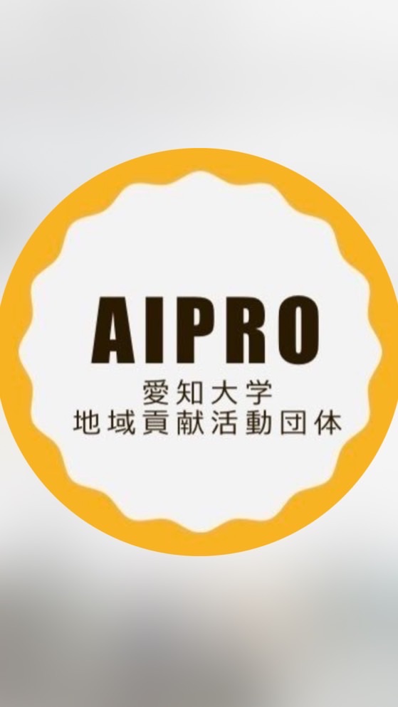 AIPRO 2024