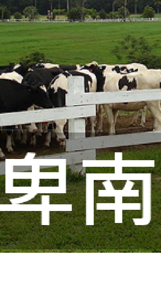 我是卑南人