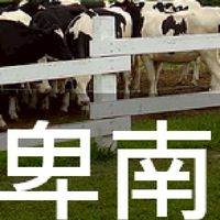 我是卑南人