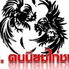 ฅ.คนนิยมไก่ชน (ข่าวสารไก่ชน)