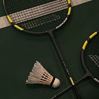Badminton SDU