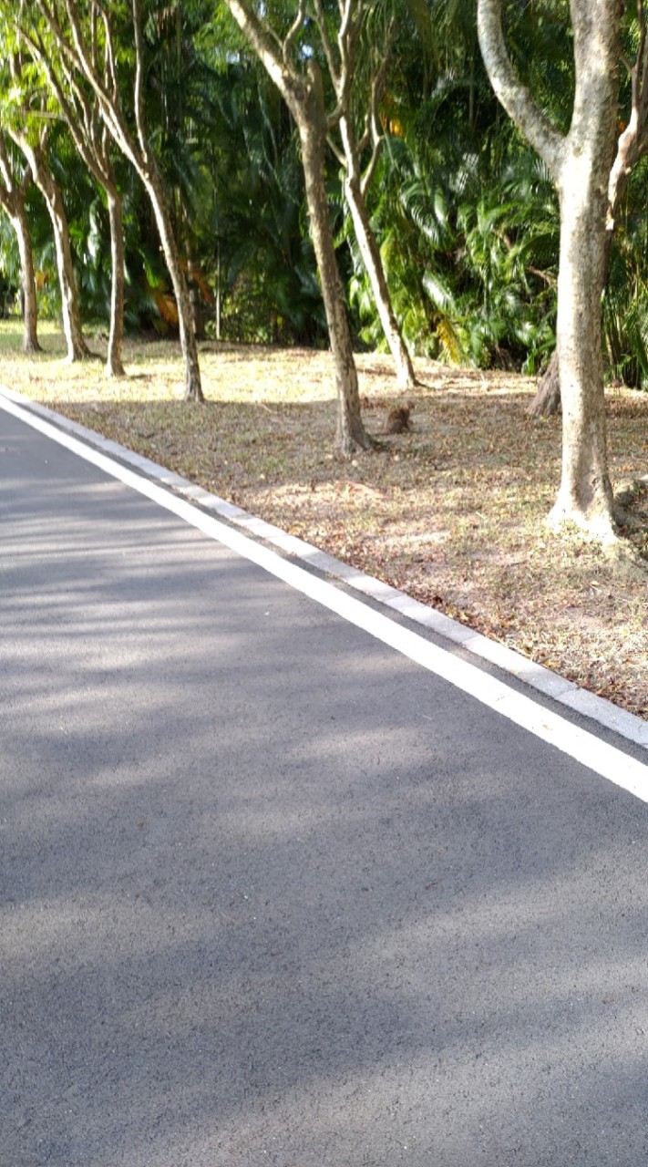 南港公園走路團